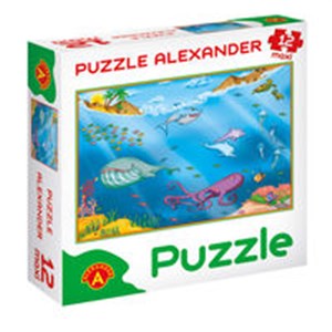Bild von Puzzle 12 Maxi Ocean