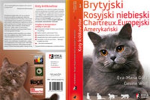 Obrazek Koty krótkowłose Brytyjski. Rosyjski niebieski. Cartreux.Europejski, amerykański