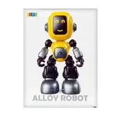 Polnische buch : Robot funk...