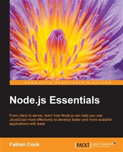 Bild von Node.js Essentials