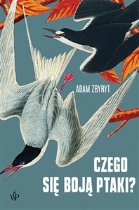 Bild von Czego się boją ptaki?