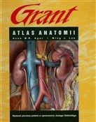 Polnische buch : Atlas anat... - Ann M. R. Agur, Ming J. Lee