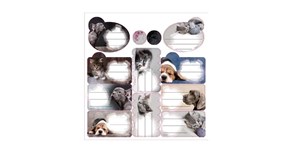 Bild von Naklejki na zeszyty The Sweet Pets