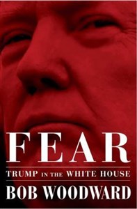 Bild von Fear : Trump in the White House