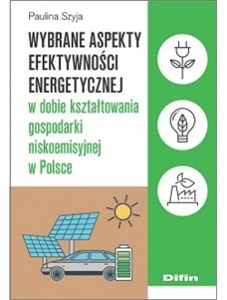 Obrazek Wybrane aspekty efektywności energetycznej w dobie kształtowania gospodarki niskoemisyjnej w Polsce