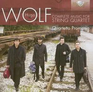 Bild von Hugo Wolf: Complete music for string quartet