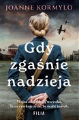 Gdy zgaśni... - Joanne Kormylo -  Książka z wysyłką do Niemiec 