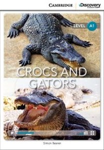 Bild von Crocs and Gators