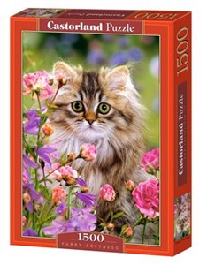 Bild von 1500x PUZZLE KOT WŚRÓD KWIATÓW WIEK 12+