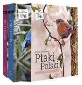 Książka : Pakiet Pta... - Andrzej G. Kruszewicz