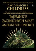 Polska książka : Tajemnice ... - David Hatcher Childress