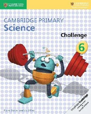 Obrazek Cambridge Primary Science Challenge Activity B