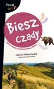 Polnische buch : Bieszczady... - Urszula Wałachowska