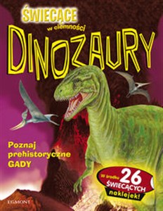 Obrazek Dinozaury