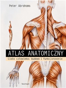 Obrazek Atlas anatomiczny Ciało człowieka: budowa i funkcjonowanie