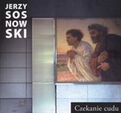 Polnische buch : Czekanie c... - Jerzy Sosnowski