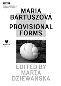 Bild von Maria Bartuszowa Provisional Forms