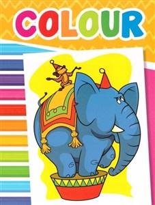 Obrazek Colour Obrazki zoo