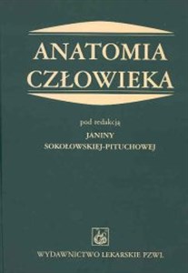 Obrazek Anatomia człowieka