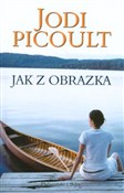 Polnische buch : Jak z obra... - Jodi Picoult