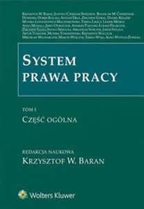 Bild von System prawa pracy Tom 1 Część ogólna