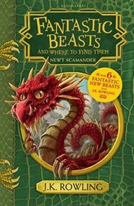 Obrazek Fantastic Beasts and Where to Find Them