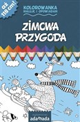 Zimowa prz... - Paweł Mazur -  fremdsprachige bücher polnisch 