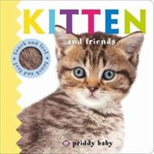 Obrazek Kitten and Friends