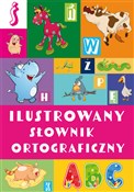 Polnische buch : Ilustrowan... - Agnieszka Nożyńska-Demianiuk