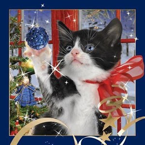 Bild von Pocztówka 3D Świąteczny Kot