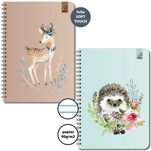 Bild von Kołozeszyt A5/50K linia 90g Jeleń Jeż (6szt)