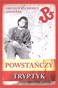 Bild von Powstańczy tryptyk