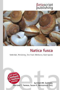 Bild von NATICA FUSCA