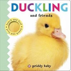 Bild von Duckling and Friends Touch and Feel