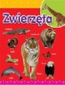 Zwierzęta - buch auf polnisch 