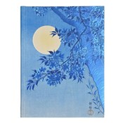 Polnische buch : Notatnik s...