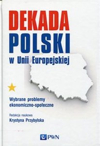 Obrazek Dekada Polski w Unii Europejskiej Wybrane problemy ekonomiczno-społeczne