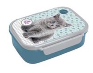 Bild von Pojemnik na śniadanie Kot