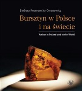 Bild von Bursztyn w Polsce i na świecie Amber in Poland and in the World