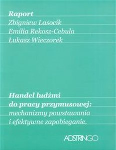 Obrazek Handel ludźmi do pracy przymusowej: mechanizmy powstawania i efektywne zapobieganie Raport