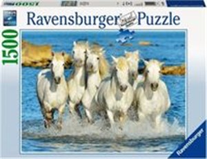 Obrazek Puzzle 1500 Orzeźwiający galop