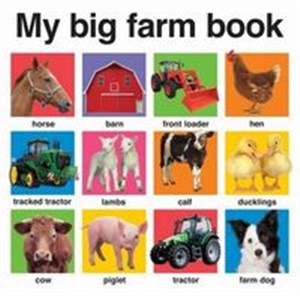 Bild von My Big Farm Book