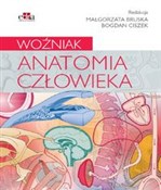 Anatomia c... -  fremdsprachige bücher polnisch 