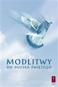 Książka : Modlitwy d... - Stanisław Maria Kałdon OP