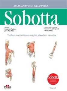 Obrazek Tablice anatomiczne mięśni, stawów i nerwów. Angielskie mianownictwo Atlas anatomii człowieka Sobotta.