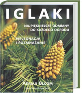 Obrazek Iglaki Najpiękniejsze odmiany do każdego ogrodu. Pielęgnacja i rozmnażanie