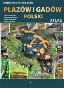 Bild von Ilustrowana encyklopedia płazów i gadów Polski