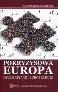 Obrazek Pokryzysowa Europa Dylematy Unii Europejskiej