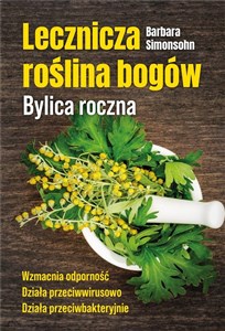 Bild von Lecznicza roślina bogów. Bylica roczna