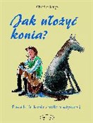 Polska książka : Jak ułożyć... - Christine Lange